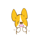 コーギーたろう2（個別スタンプ：37）