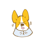 コーギーたろう2（個別スタンプ：40）