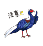 Taiwan birds（個別スタンプ：18）