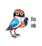 Taiwan birds（個別スタンプ：40）