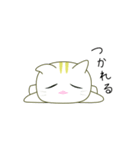 るるねこ（個別スタンプ：24）