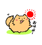 ポメ之助（個別スタンプ：1）