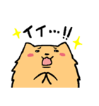 ポメ之助（個別スタンプ：6）