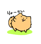 ポメ之助（個別スタンプ：7）