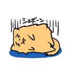 ポメ之助（個別スタンプ：20）