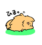 ポメ之助（個別スタンプ：31）
