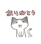 うさぎとねことヒヨコ（個別スタンプ：9）