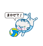バレーボール好きな猫のギンちゃんVol.2（個別スタンプ：15）