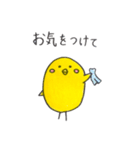 ほんわか、とりさんスタンプ2 時々ネコ（個別スタンプ：16）