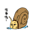 Snail brother（個別スタンプ：3）
