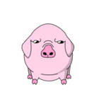 ブタたん (New Version)（個別スタンプ：1）