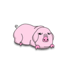 ブタたん (New Version)（個別スタンプ：5）