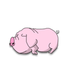 ブタたん (New Version)（個別スタンプ：6）