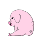 ブタたん (New Version)（個別スタンプ：13）