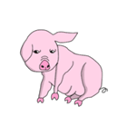 ブタたん (New Version)（個別スタンプ：14）