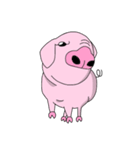ブタたん (New Version)（個別スタンプ：27）