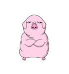 ブタたん (New Version)（個別スタンプ：34）