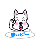 大阪ウエスティ2（個別スタンプ：3）