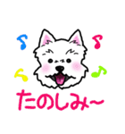 大阪ウエスティ2（個別スタンプ：5）