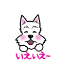 大阪ウエスティ2（個別スタンプ：8）