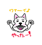 大阪ウエスティ2（個別スタンプ：11）