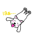 大阪ウエスティ2（個別スタンプ：12）