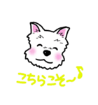 大阪ウエスティ2（個別スタンプ：13）