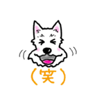 大阪ウエスティ2（個別スタンプ：19）