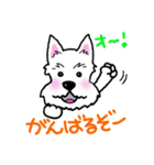 大阪ウエスティ2（個別スタンプ：34）
