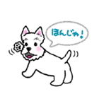 大阪ウエスティ2（個別スタンプ：38）