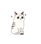 しゃむとらくん（個別スタンプ：4）