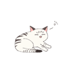 しゃむとらくん（個別スタンプ：5）