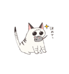 しゃむとらくん（個別スタンプ：12）