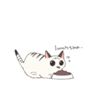 しゃむとらくん（個別スタンプ：17）