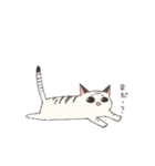 しゃむとらくん（個別スタンプ：18）