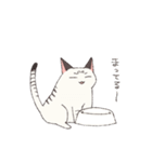 しゃむとらくん（個別スタンプ：25）