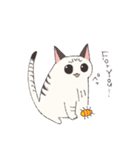 しゃむとらくん（個別スタンプ：29）
