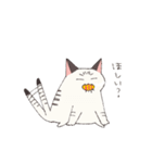 しゃむとらくん（個別スタンプ：30）
