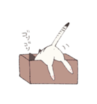 しゃむとらくん（個別スタンプ：34）