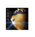 <鬼ッズ>-タコヤ鬼-（個別スタンプ：3）