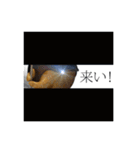 <鬼ッズ>-タコヤ鬼-（個別スタンプ：5）