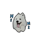 Bobo's daily（個別スタンプ：1）