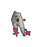 Bobo's daily（個別スタンプ：3）