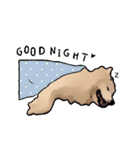 Bobo's daily（個別スタンプ：5）