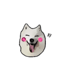 Bobo's daily（個別スタンプ：7）
