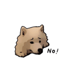 Bobo's daily（個別スタンプ：8）