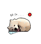 Bobo's daily（個別スタンプ：11）