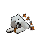 Bobo's daily（個別スタンプ：16）