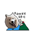 Bobo's daily（個別スタンプ：26）