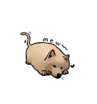 Bobo's daily（個別スタンプ：33）